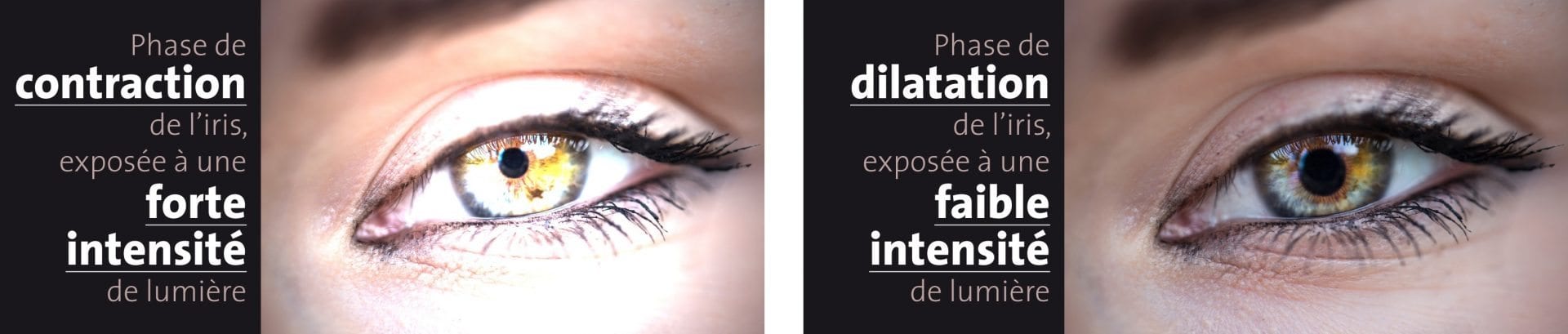 alya-theia-tech-faro-mecanisme-oeil