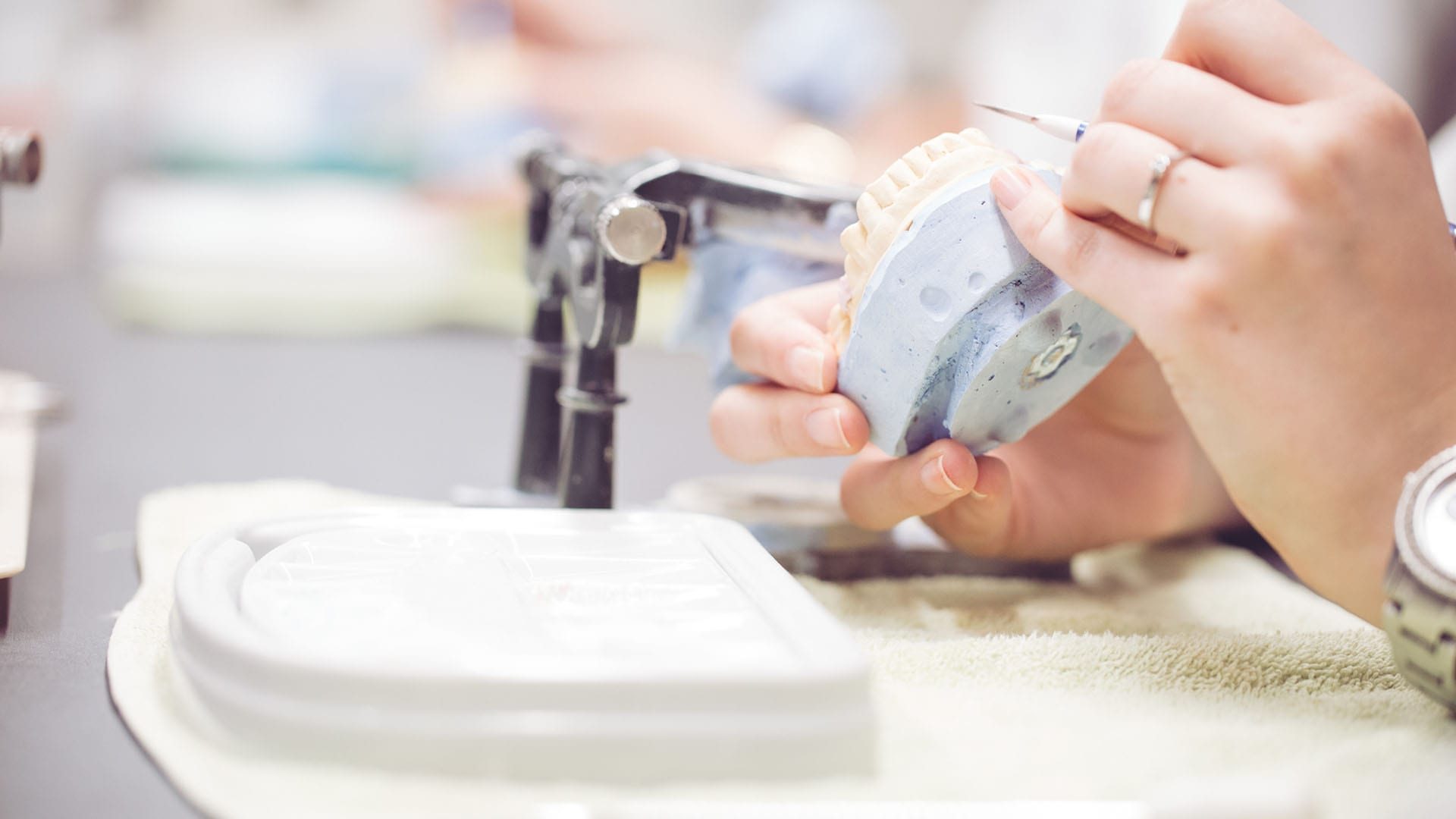 Female dentist working on set of teeth